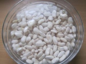Fasolada
