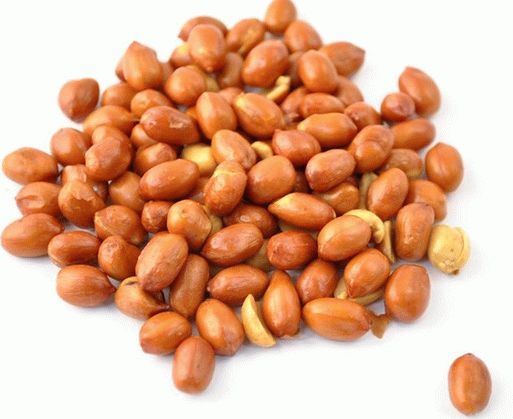 फ ट  क स  र स ट म  गफल  क  ल ए