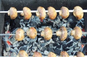एक तिरछा पर Champignons