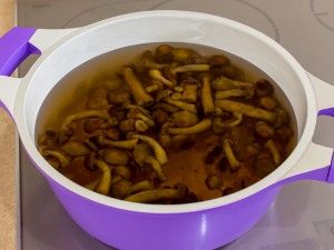 शहद मशरूम के साथ पनीर का सूप
